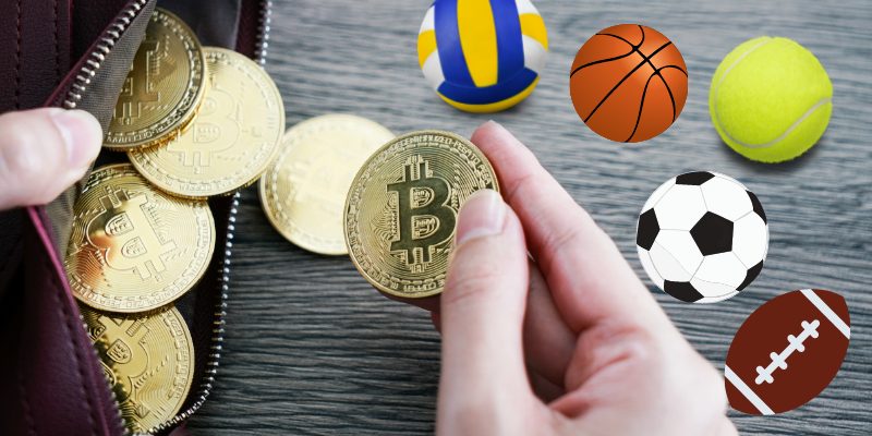 BTC, LTC betting bookmakers - sports balls, wallet with crypto